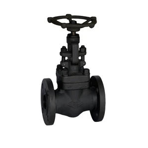 GZP API ANSI DIN JIN BS Forged Steel Flange Globe Valve SS304/306L/F5/11/22