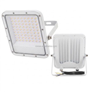 RONSE Wall Mounted 30 Watt SMD2835 Die Cast Aluminum Housing Led Flood Light IP65 High Bright for Garden Street Yard Stadium
