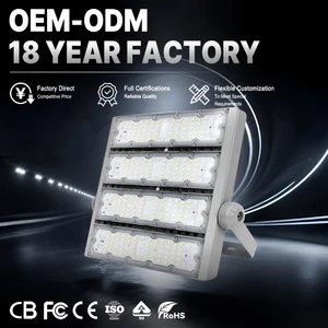 LED Tunnel Lighting IP65 High Lumen Anti Glare Highway Road Bridge Underpass Outdoor Industrial Lighting 5-Year Warranty