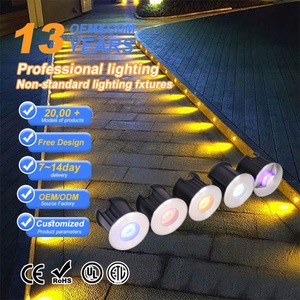 1W/3W LED Underground IP67 Waterproof Stainless Steel Spotlight Landscape Courtyard Hotel Use High-quality Customized Dimmable