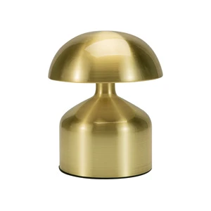 Fashionable LED Desk Lamp