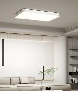 24W - 100W 16 - 40 Inch Hotel Bedroom Nordic Modern Led Flush Mount Ceiling Lamps Power Adjustable Ceiling Light