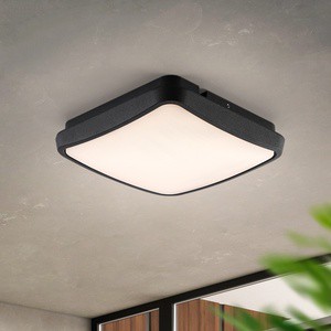 Outdoor Waterproof LED Ceiling Light Ra 80 Aluminum PC Construction for Villas Balconies Corridors Homestay Entrances