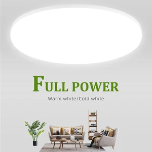 CANMEIJIA Ceiling Light for Living Room Bedroom Ceiling Lamp for Indoor Home Lighting/Lights for Home Ceiling/Led Ceiling Light