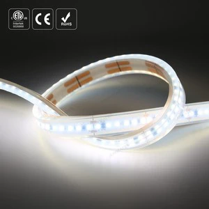Outdoor Waterproof 127V 2835 LED Strip Construction Site Tunnel Mining High Voltage Led Light Strip