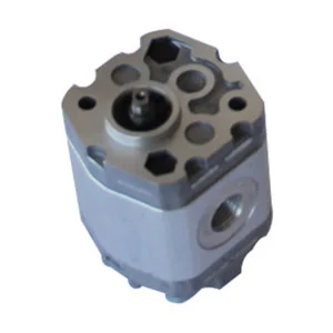 Professional Production Mini Displacement Gear Pump Hydraulic For Hydraulic Unit Packer 200bar 2000r/min