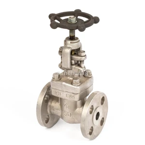 F304 American Standard Forged Flanged Globe Valve Is Resistant to High Pressure and High Temperature
