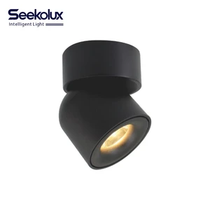 Commercial Modern Surface Mounted Aluminum IP44 360 Degrees Rotation Light Office Hotel Project Ceiling Downlight Durable Indoor