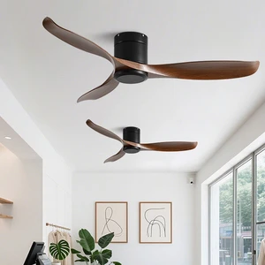 Modern Ceiling Fan with 3 Blades Black Motor DC Motor Remote Control Quiet Operation for Living Room Bedroom Home Decor