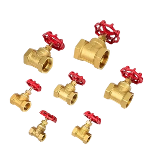 China Brass Globe Valve Shutoff Supplier | Forged Type PN20 OEM ODM Factory Price