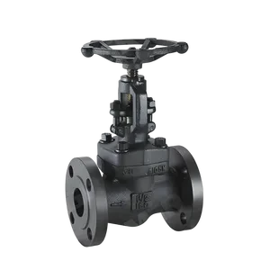 A105 forged steel flange globe valve 150LB 300LB high pressure flange globe valve ANSI A105 forged steel globe valve