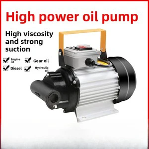 Portable High Pressure Gear Pump Mini Electric Oil Extractor for Diesel Hydraulic Oil High Viscosity Fluid OEM 24V/220V