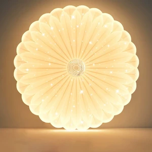 Factory Direct Iron Ceiling Lamp Remote Control LED Flower Design Ceiling Light for Bedroom Corridor Stairs Entry Hallway