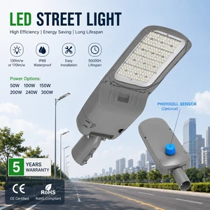 Energy Saving LED Street Lamp 100W 150W 200W 300W Outdoor IP66 LED Road Lighting with 5 Year Warranty