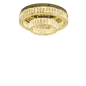 Indoor Modern Style LED Chandelier LED Crystal Chandelier Ceiling Light Hotel Apartment Stainless Steel Remote Control Color