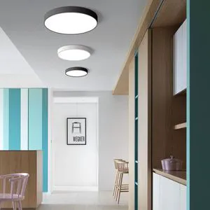 led round ceiling light black white modern simple new 2026 lamp for balcony aisle corridor