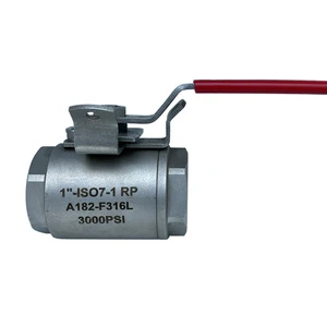 2Piece Manual OEM Full Port Threaded End Forged F316L Body Ball Valves with Lock