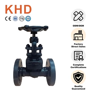 KHD J41H-16C A105 Forged Steel Globe Valve DN15 Industrial Gas Oil Globe Valve