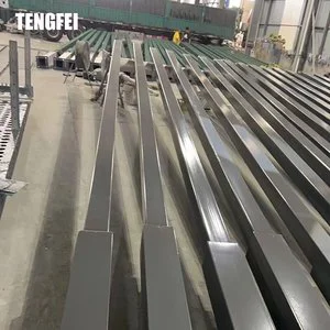 Tengfei Single Double Arms Light Pole Hot Dip Galvanized Steel Street Lighting Pole Lamp Poles