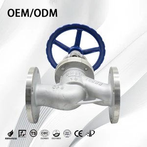CF8/CF8M Cast Stainless Steel Steel Flanged Type RF Ss 304 Globe Valve ASME B16.34 Verified Suppliers