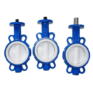 High Performance Stainless Steel NBR EPDM Wafer Type Manual Butterfly Valve Double Eccentric WCB OEM Flange Ends Butterfly Valve
