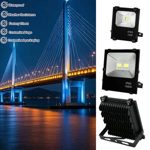 Outdoor LED Projector Flood Lights AC 85-265V IP65 Waterproof 10-200W CRI 80 Aluminum Sports Stadiums Bridge Lighting 120 Beam