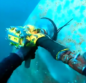 Best Quality DECKWELL GR29 Alloy Steel Hydraulic Tools for Underwater Diving Work with 1 Year Warranty