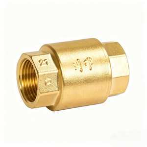 Swing Check Valve Water Control Brass Body Vertical Installation OEM Available PN16 for Water Supply & Drainage