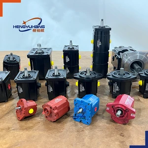 OEM Hydraulic Pumps for Rexroth DANFOSS PARKER ATOS MARZOCCHI VIVOLO HYDAC BUCHER Caproni DUPLOMATIC RONZIO Hydraulic Gear Pump