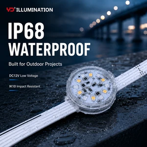 IP68 RGB LED Point Light for Bridge and River Lighting