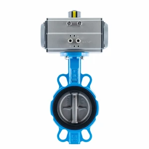 Butterfly Valve