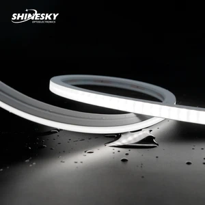 DC24V Outdoor Lighting Lamp Exterior Single Color/Rgb/CCT Led Wall Washer Silicone Neon Tube Flexible Led Linear Wall Washer