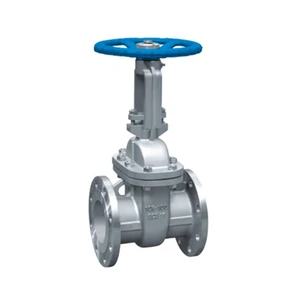 Cast Steel Flanged Gate Valve Medium Temperature WCB DN25 40 50 65 80 J41H-16C Manual Stop Oil ISO9001 Certified OEM Supported