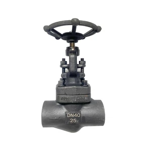 J61H Welded Forged Steel Globe Valve Socket Socket Globe Valve Manual Steam Globe Valve