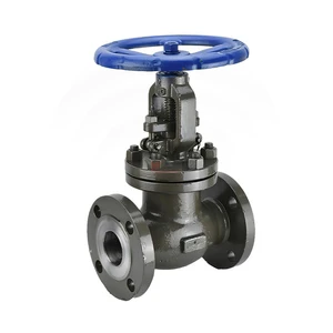 Urable Anti-leakage High Temperature ANSI 150LB 304 316 Stainless Steel JIS 10K 1.6-6.4mpa WCB Manual Flanged Globe Valve