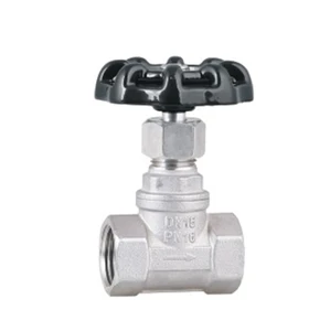 LISHUI High Quality Manual Stainless Steel Globe Valve for Water Supply