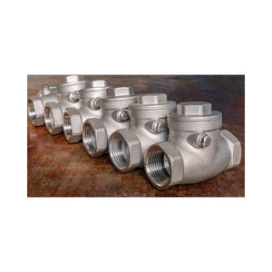 Bulk Supply Available Non-Return Valve for Water Pneumatic Control Prevents Backflow Ensures Unidirectional Flow OEM/ODM