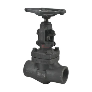 J11H API ANSI 150-1500LB 304 316 Stainless Steel A105 1.6-100mpa NPT BSP Forged Manual Screw Female Threaded Globe Valve
