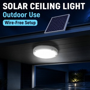 Hot Sale Modern 8W-25W LED Light Indoor Outdoor Corridor Garage Solar Remote Control Aluminum Ceiling Lamp for Balcony