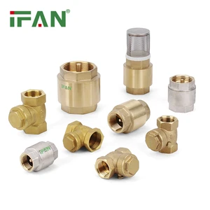 IFAN Professional Supply High Pressure Check Valve 1/2