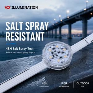 Outdoor LED Pixel Point Light for Bridge and Overpass