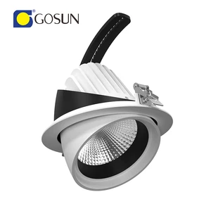 For Customizable Housing Recessed 8W-50W COB Spotlight Warm White Adjustable Recessed Downlight For Hotel Office Use 5-Year