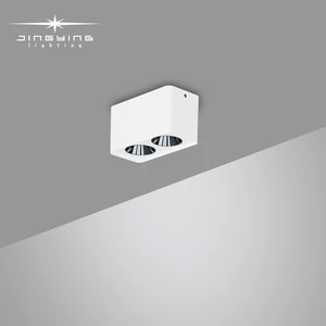 Commercial Surface-mounted LED Downlights Aluminum Double-head Surface-mounted Spotlights Hotel Spotlights