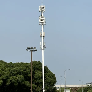 20-30m Custom LED High Mast Light, Waterproof Dustproof Weather Resistant, for Municipal Junction & Stadium
