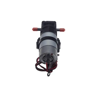 DC 12v 24v Electric Small Hydraulic Gear Pump for Water Purification Equipment