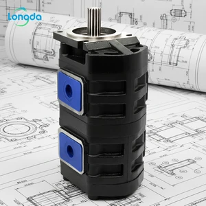 OEM Factory Price Hydraulic Pump Hot Sales One Year Warranty Good Quality Hydraulic Gear Pump High Pressure Bidirectional