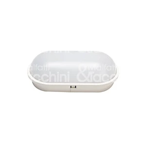 Oval LED Ceiling Light with Easy Installation IP65 20W 1600 Lumens for Indoor/Outdoor Use