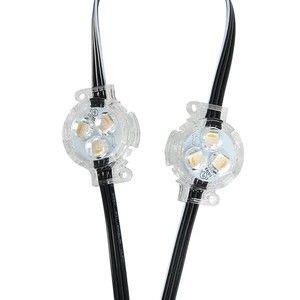 SHIJI 30mm RGBW SMD5050 LED Pixel Point Light Outdoor Waterproof IP67 Theme Park & Landscape Use UCS2904 50000 Hours