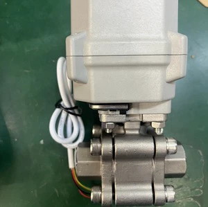 DN25 Electric Stainless Steel Globe Valve with Female Thread