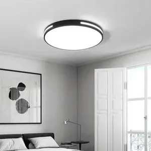 Hot Selling Modern Design LED Acrylic Metal Base AC Powered Ceiling Lamp Switch Controlled for Living Room
